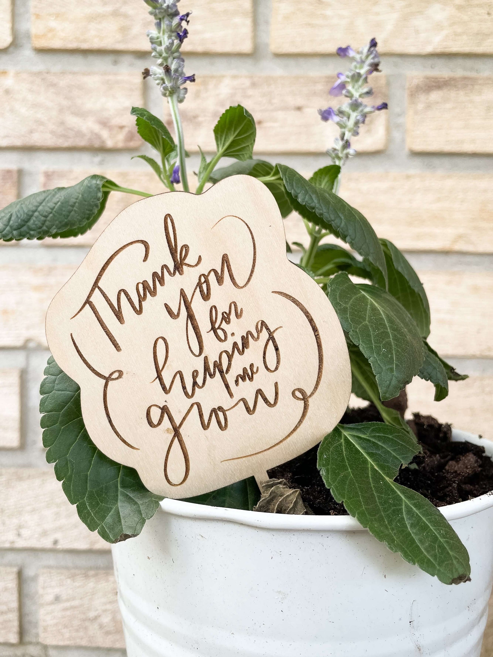 succulent thank you for helping me grow Thank you for helping me grow" Plant Stake – Grace & Grain Design Company